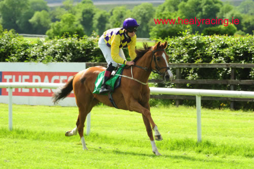 Fluidity Navan 9th June 2012